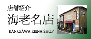 �ꖇ�̍Ղ艮�C�V���X
