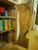2012031508210000.jpg