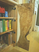 2012031508210000.jpg