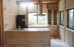 hsb6.JPG