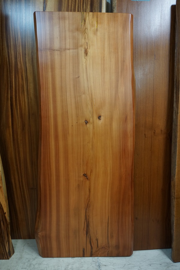 一枚板 桂（かつら・カツラ）材 テーブル用天板 セール 1880×740 