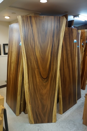 天然木 東京 新宿 東五軒町店展示 欅(けやき・ケヤキ)材 一枚板