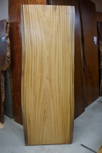 楠（クス）の通販、販売なら一枚板テーブル・無垢材家具の祭り屋