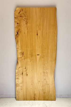 �V�R�؁@�����@�V�h�@���܌����@�|�v���@�ꖇ�@�Z�[��