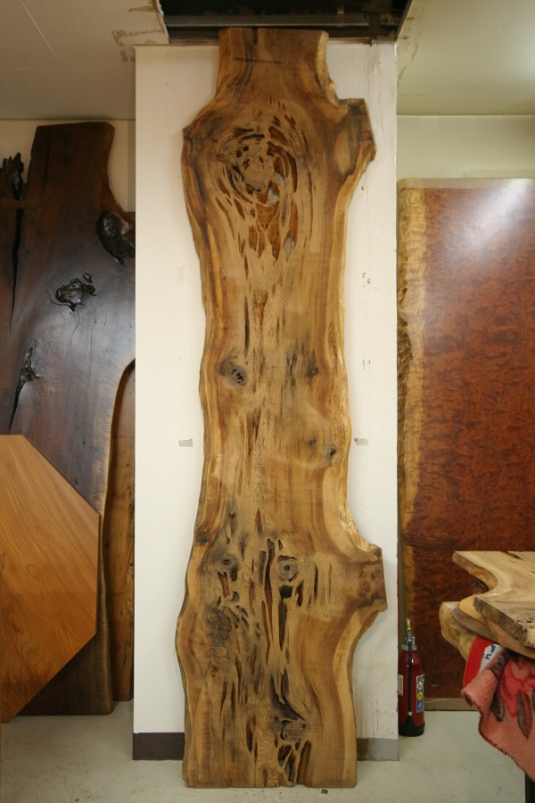 天然木 東京 新宿 東五軒町店展示 欅（けやき・ケヤキ）材 一枚板