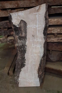 一枚板 楓（かえで、カエデ）DIY粗木材　テーブル用天板　セール￥30,000（税別） 1120 ×220~330 mm
