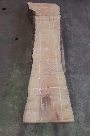 一枚板 楓（かえで、カエデ）DIY粗木材　カウンター、テーブル用天板　セール￥150,000（税別） 2400 ×580~500~600 mm