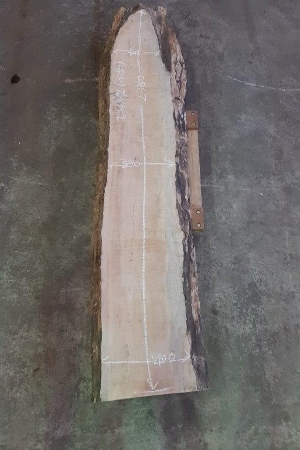 一枚板 楓（かえで、カエデ）DIY粗木材　カウンター、テーブル用天板　セール￥120,000（税別） 2380 ×300~380~400 mm