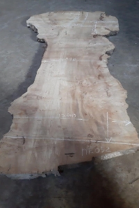 一枚板 ポプラ粗木材　カウンター、テーブル用天板　セール￥270,000（税別） 2780(2000) ×1230~1180 ~1400mm