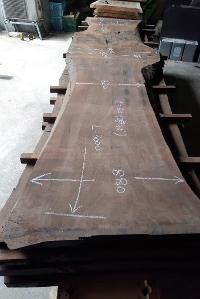一枚板 ブラックウォールナット粗木材　カウンター、テーブル用天板　セール￥250,000（税別） 3600 ×1050~800 ~620~880mm
