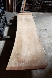 一枚板 欅（けやき・ケヤキ）粗木材　カウンター、テーブル用天板　セール￥450,000（税別） 2570 ×830~850 ~1000mm