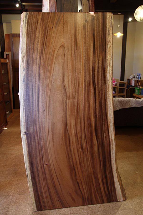 神奈川県 海老名店展示 一枚板 モンキーポット材 テーブル用天板