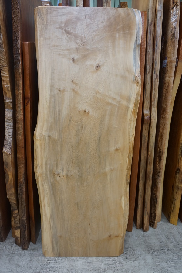 天然木 東京 新宿 東五軒町展示 モンキーポット材 一枚板 テーブル用天
