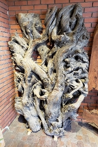 一枚板 神代杉　根木材オブジェ用天板 2000×1370 mm