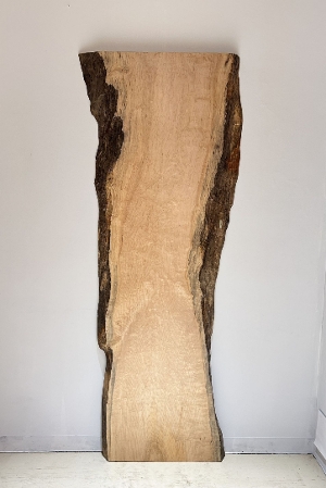 �V�R�؁@�����@�V�h�@���܌����@���i�����Łj�@�ꖇ�@�Z�[��