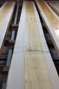 一枚板 桧（檜、ひのき）材　粗木材カウンター、テーブル用天板　セール￥1,800,000（税別） 7000 ×700 mm