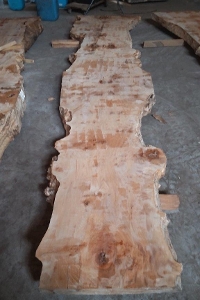 一枚板 楓（カエデ）材　粗木材カウンター、テーブル用天板　セール 4000 ×590~740~900~750 mm