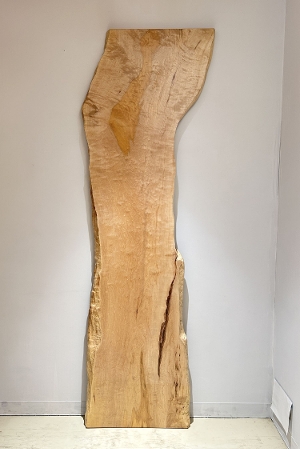 �ꖇ�� ���i�����ŁA�J�G�f�j�ށ@�J�E���^�[�A�e�[�u���p�V�@�Z�[����360,000�i�ŕʁj 2600 �~670~550~530~560 mm