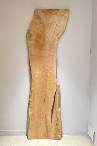 �ꖇ�� ���i�����ŁA�J�G�f�j�ށ@�J�E���^�[�A�e�[�u���p�V�@�Z�[����360,000�i�ŕʁj 2600 �~670~550~530~560 mm