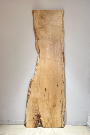 �ꖇ�� ���i�����ŁA�J�G�f�j�ށ@�J�E���^�[�A�e�[�u���p�V�@�Z�[����380,000�i�ŕʁj 2550 �~870~740~500~610 mm