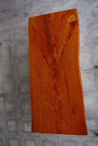 一枚板 欅（けやき・ケヤキ）材埋木　カウンター、テーブル用天板　セール￥280,000（税別） 2300 × 1020~940~970mm
