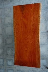 一枚板 欅（けやき・ケヤキ）材　カウンター、テーブル用天板　セール￥360,000（税別） 2100 × 890~890~980mm