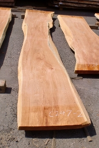 ꖇ Z_  dグȂ e[upV Z[3760mm &#10005; 440~560mm &#10005; 65mm