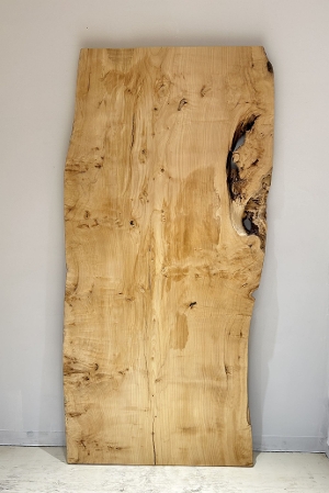 �V�R�؁@�����@�V�h�@���܌����@�|�v���ށ@�ꖇ�@�Z�[��