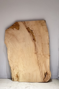 �V�R�؁@�����@�V�h�@���܌����@�ȁ@�ꖇ�@�Z�[��