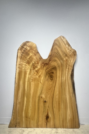 �V�R�؁@�����@�V�h�@���܌����X�@��ށ@�����ށ@�N�X�ށ@�ꖇ�@�Z�[��