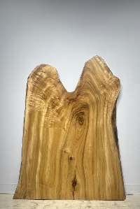 �V�R�؁@�����@�V�h�@���܌����X�@��ށ@�����ށ@�N�X�ށ@�ꖇ�@�Z�[��