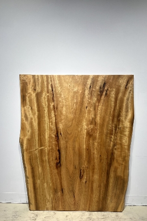 �V�R�؁@�����@�V�h�@���܌����X�@��ށ@�ꖇ�@�Z�[��