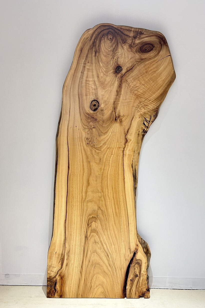 天然木 新潟工場 楠（クス、くす）材 一枚板 DIYテーブル用天板 セール