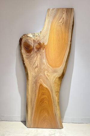 �V�R�؁@�����@�V�h�@���܌����@�O�i���₫�E�P���L�j�@�ꖇ�@�Z�[��