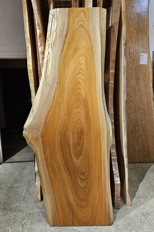 天然木 東京 新宿 東五軒町展示 モンキーポット材 一枚板 テーブル用天