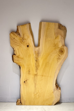 �V�R�؁@�����@�V�h�@���܌����X�@�Ёi����E�J���j�ށ@�ꖇ�@�Z�[��