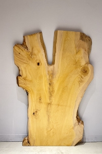 �V�R�؁@�����@�V�h�@���܌����X�@�Ёi����E�J���j�ށ@�ꖇ�@�Z�[��