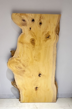 �V�R�؁@�����@�V�h�@���܌����X�@�Ёi����E�J���j�ށ@�ꖇ�@�Z�[��