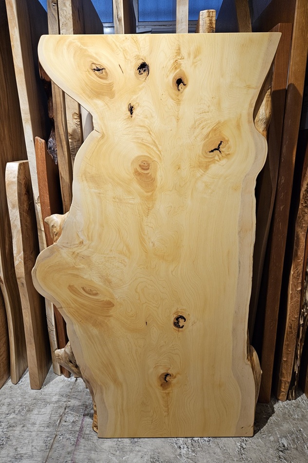 天然木 東京 新宿 東五軒町展示 モンキーポット材 一枚板 テーブル用天