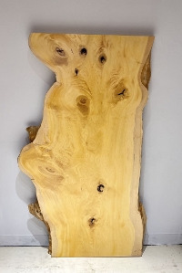 �V�R�؁@�����@�V�h�@���܌����X�@�Ёi����E�J���j�ށ@�ꖇ�@�Z�[��