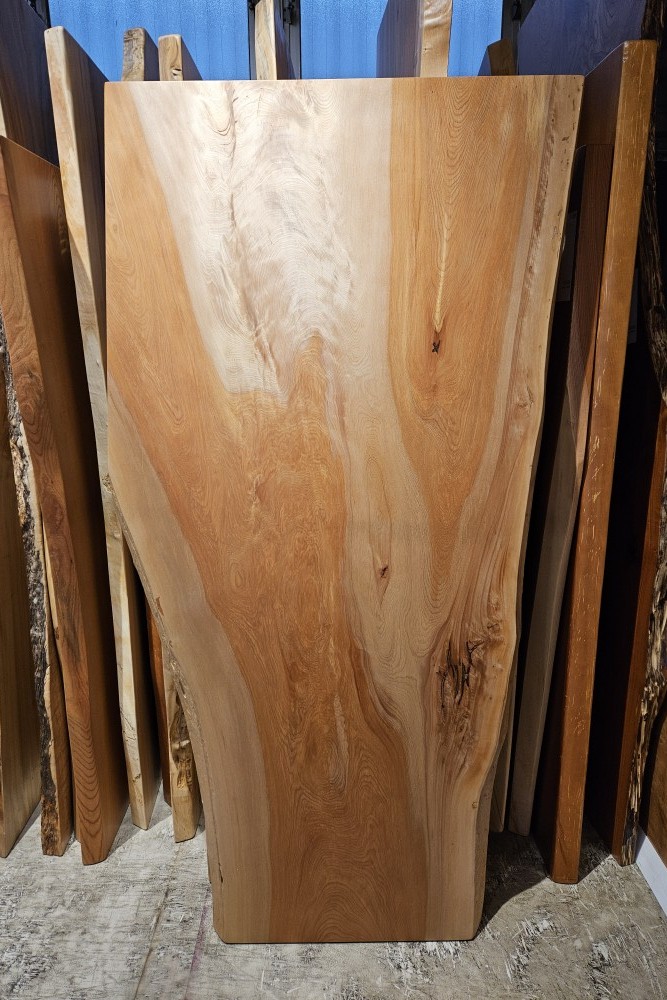 天然木 東京 新宿 東五軒町展示 朱里桜（しゅりざくら）材 一枚板