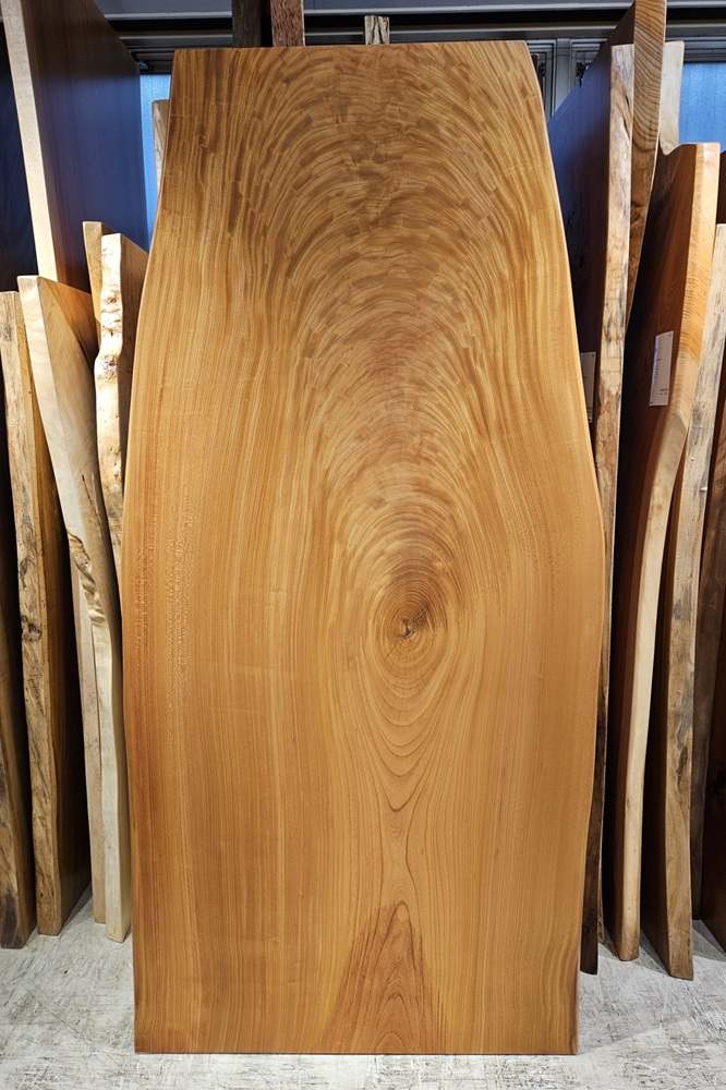 天然木 東京 新宿 東五軒町展示 モンキーポット材 一枚板 テーブル用天