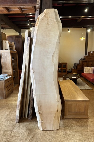【121cm×48cm】テーブル　天板　無垢材 神奈川県 海老名店展示 一枚板栃(トチ)材 テーブル用天板 ｜一枚