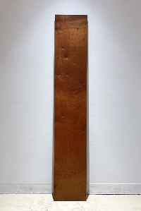 �V�R�؁@�����@�V�h�@���܌����@�T�y���ށ@�ꖇ�@�Z�[��