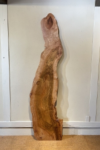 �ꖇ�R���i���}�U�N���j�ރe�[�u���p�V��2500�~300~480~620 mm