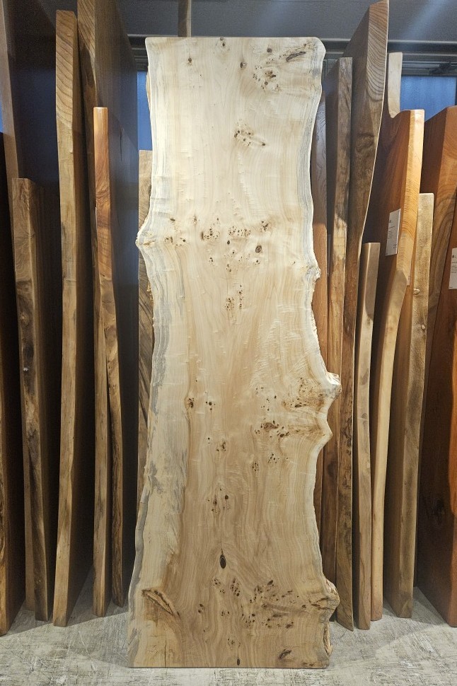 天然木 東京 新宿 東五軒町展示 楠（くすのき）材 一枚板 セール｜一枚