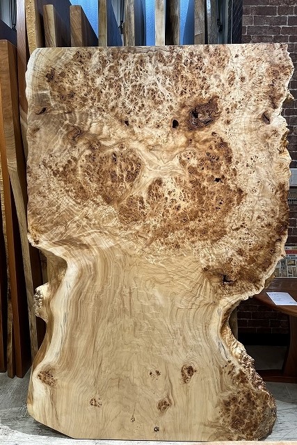 天然木 東京 新宿 東五軒町展示 楠（くすのき）材 一枚板 セール｜一枚