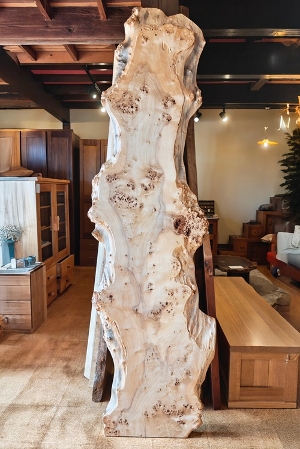 ꖇ |vރe[upV 2320~530`220 mm