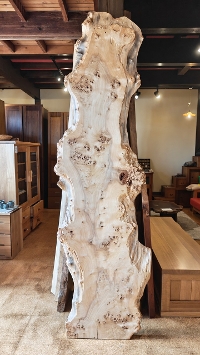 ꖇ |vރe[upV 2320~530`220 mm