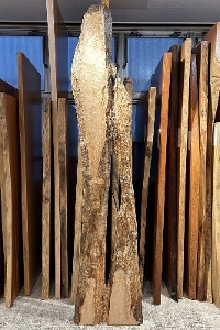 <BR>ꖇ iŁAJGfjށ@<br>e[upV<br> 2555~120~210~470~510 mm